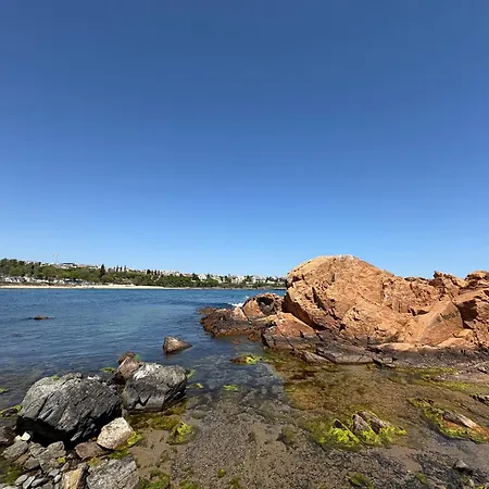 Апартаменты Mare Черноморец