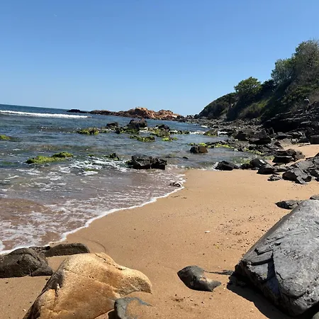 Mare Черноморец